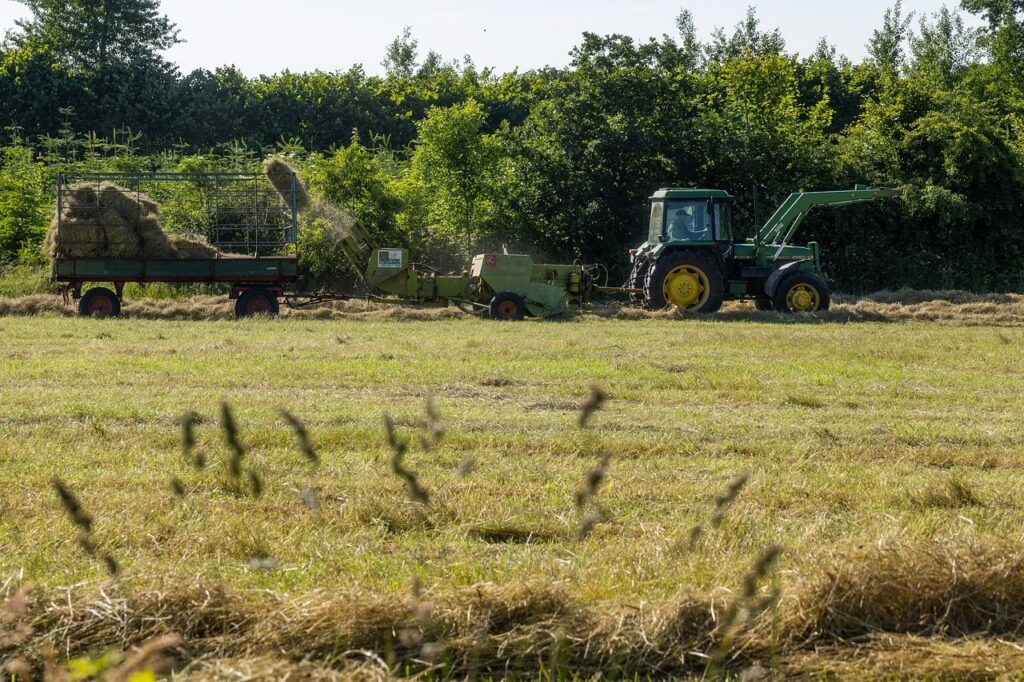 Finanziamenti Psr Calabria agroalimentare, stanziati i fondi per gli imballaggi ecologici