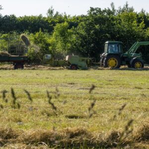 Finanziamenti Psr Calabria agroalimentare, stanziati i fondi per gli imballaggi ecologici